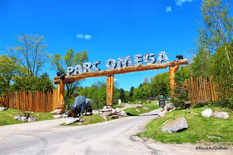 omega parc prices|parc omega admission fee.